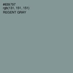 #839797 - Regent Gray Color Image